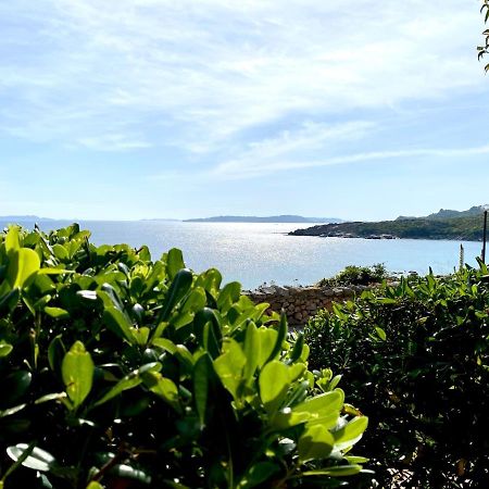 Appartamento Fronte Mare Santa Teresa Gallura Zewnętrze zdjęcie