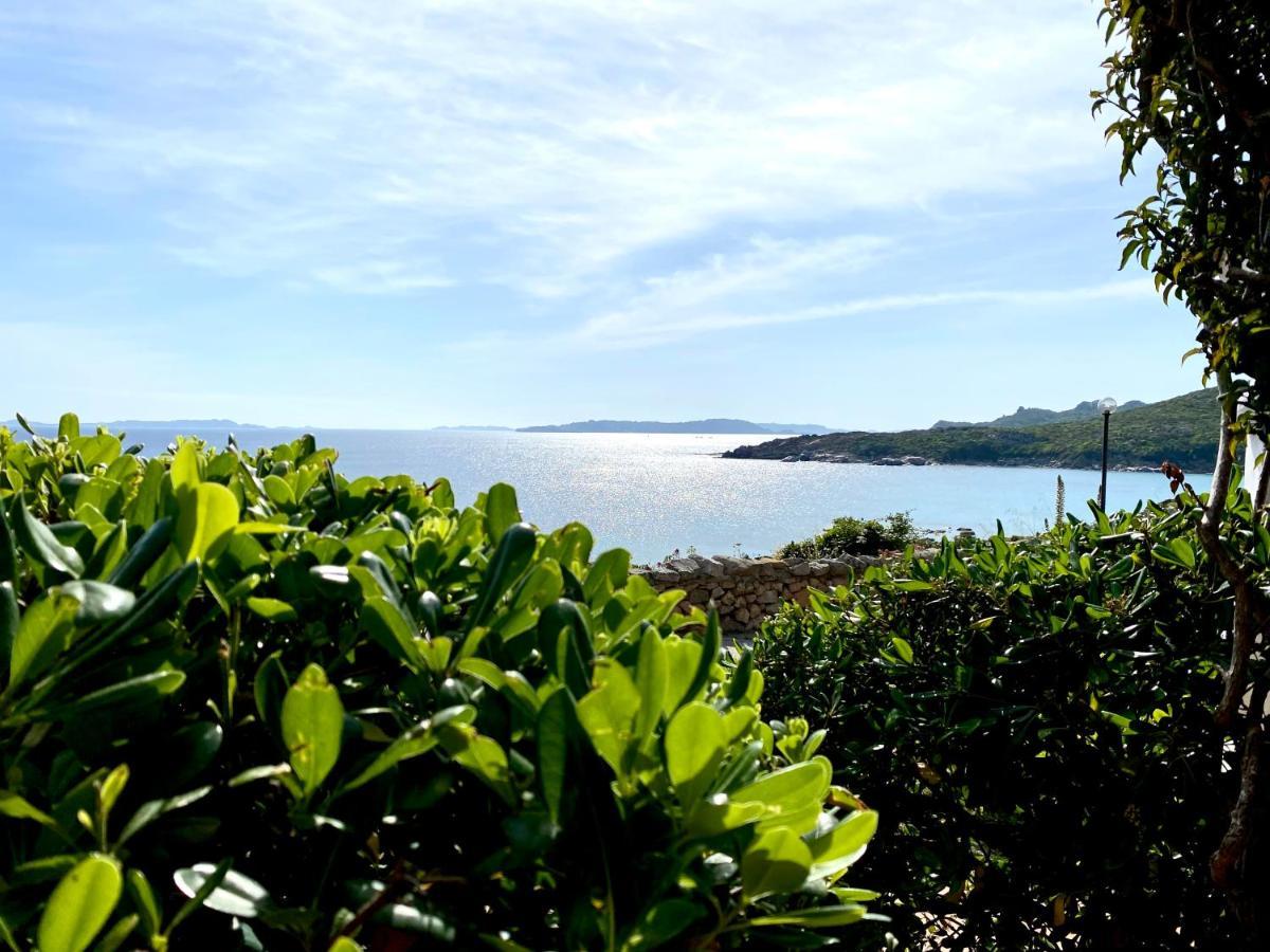 Appartamento Fronte Mare Santa Teresa Gallura Zewnętrze zdjęcie